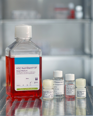 人類間充質(zhì)干細(xì)胞促貼壁試劑(無(wú)動(dòng)物源成分),現(xiàn)貨-產(chǎn)品報(bào)價(jià)-上海通善生物科技